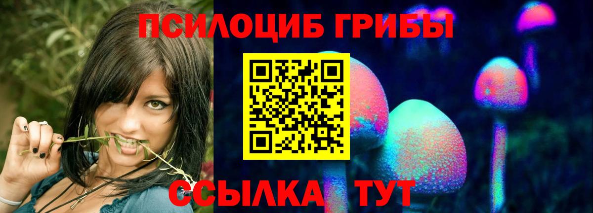 Галлюциногенные грибы ЛСД Губкинский