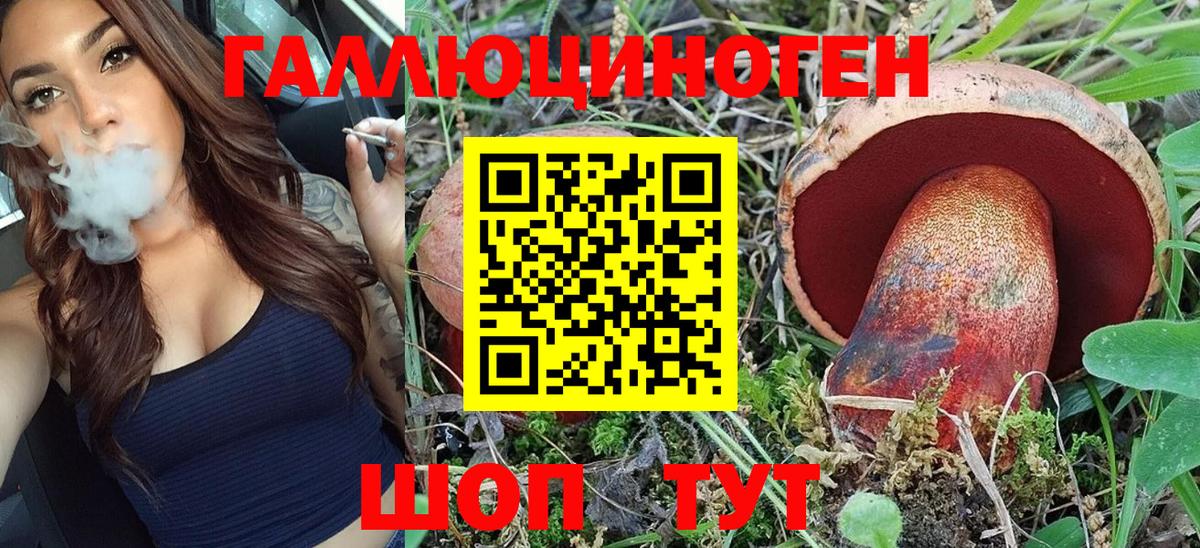 где купить   Псилоцибиновые грибы Psilocybe  Вход с VPN  Псилоцибиновые грибы MAGIC MUSHROOMS  Губкинский 